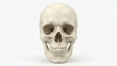 imagenes de esqueleto de La Cara